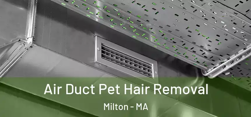  Air Duct Pet Hair Removal Milton - MA