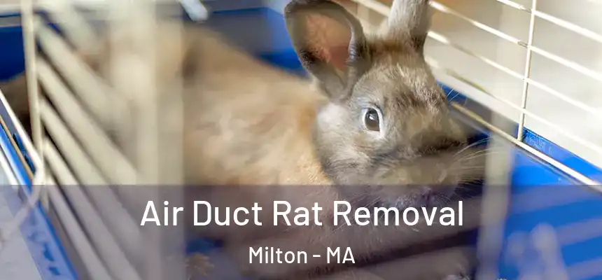  Air Duct Rat Removal Milton - MA