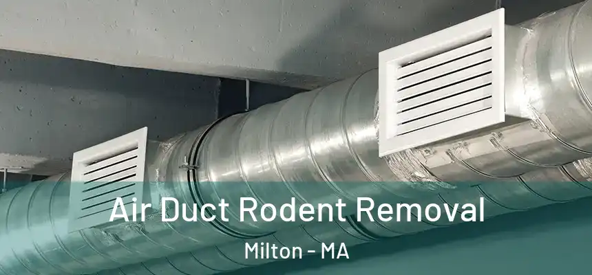  Air Duct Rodent Removal Milton - MA