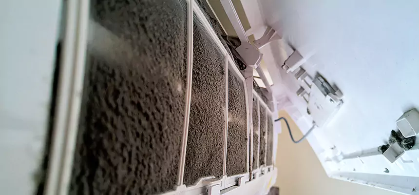 Preventive Air Duct Bacteria Removal in Milton