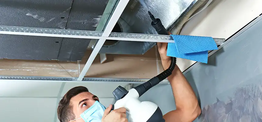 Our Air Duct Rodent Removal Services in Milton, MA