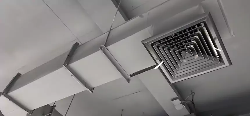 Our Pest Removal From Ducts Services in Milton, MA