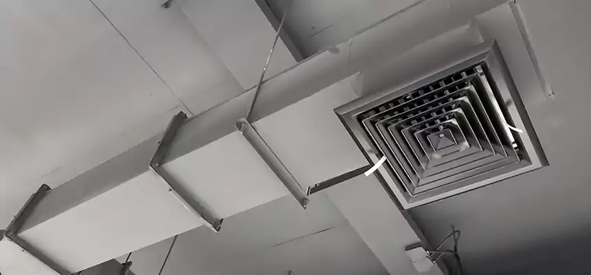 Our Rodent Droppings In Vents Services in Milton, MA