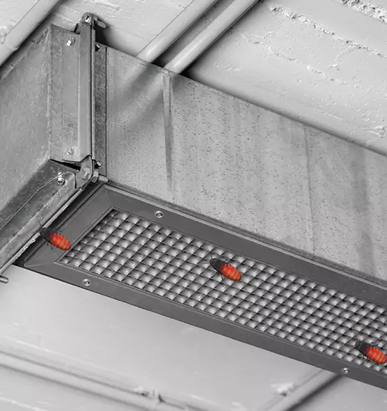 About Air Duct Cockroach Removal in Milton, MA