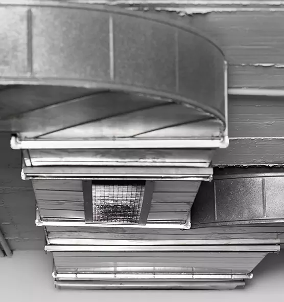 Professional Air Duct Pest Removal in Milton, MA