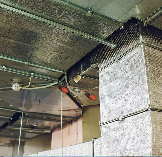 Why Homeowners & Businesses Trust Us in Milton, MA?