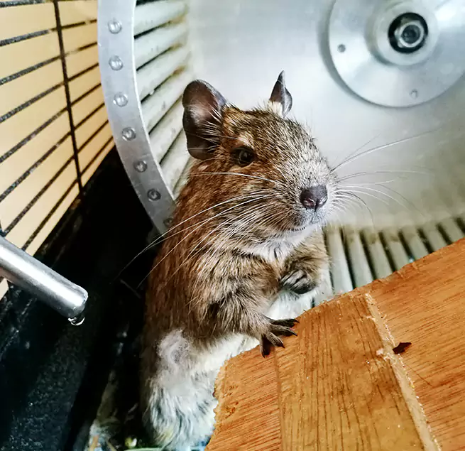 Why Homeowners & Businesses Trust Us Milton, MA