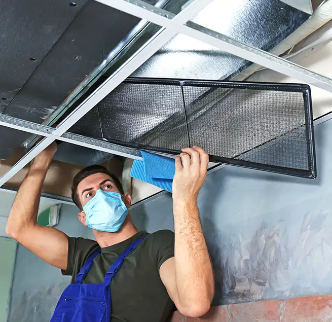 Why Homeowners & Businesses Trust Us in Milton, MA?